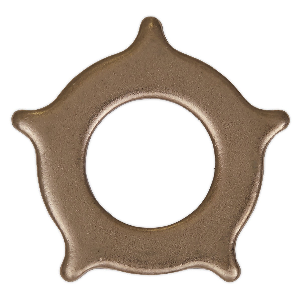 Sealey Star Washer for SR2000 - Pack of 10 SR2000.SW