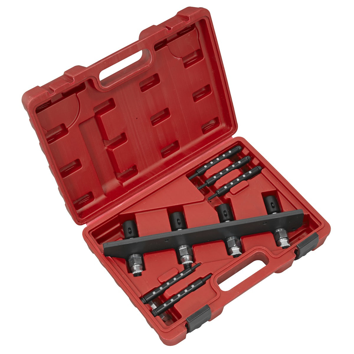 Sealey Petrol Fuel Injection Removal/Installation Kit for BMW & Mini VS2081