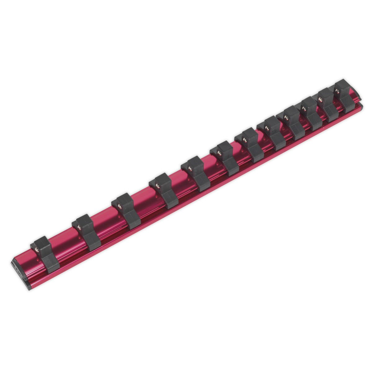 Premier Magnetic Socket Retaining Rail with 12 Clips 3/8"Sq Drive AK27083
