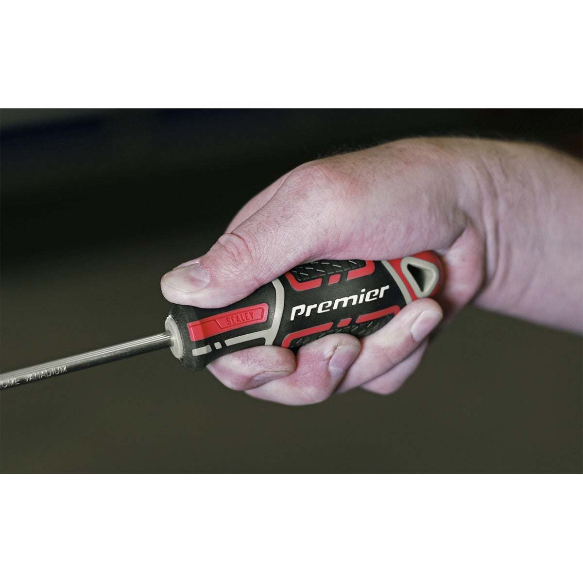 Premier GripMAX Phillips Screwdriver #2 x 100mm AK4361