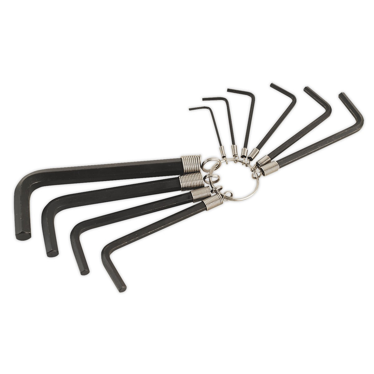 Premier Hex Key Set on Ring 10pc AK6148