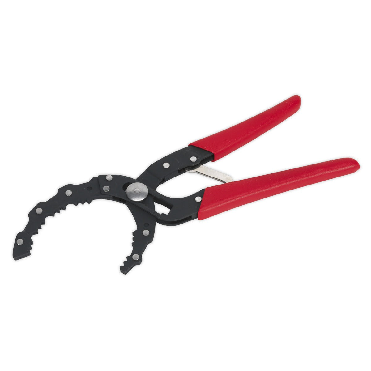 Premier Auto-Adjusting Oil Filter Pliers AK6419