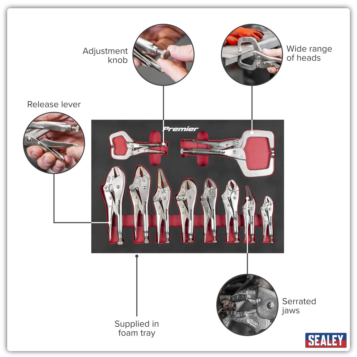 Premier Locking Pliers Set with Foam Tray 10pc AK6802