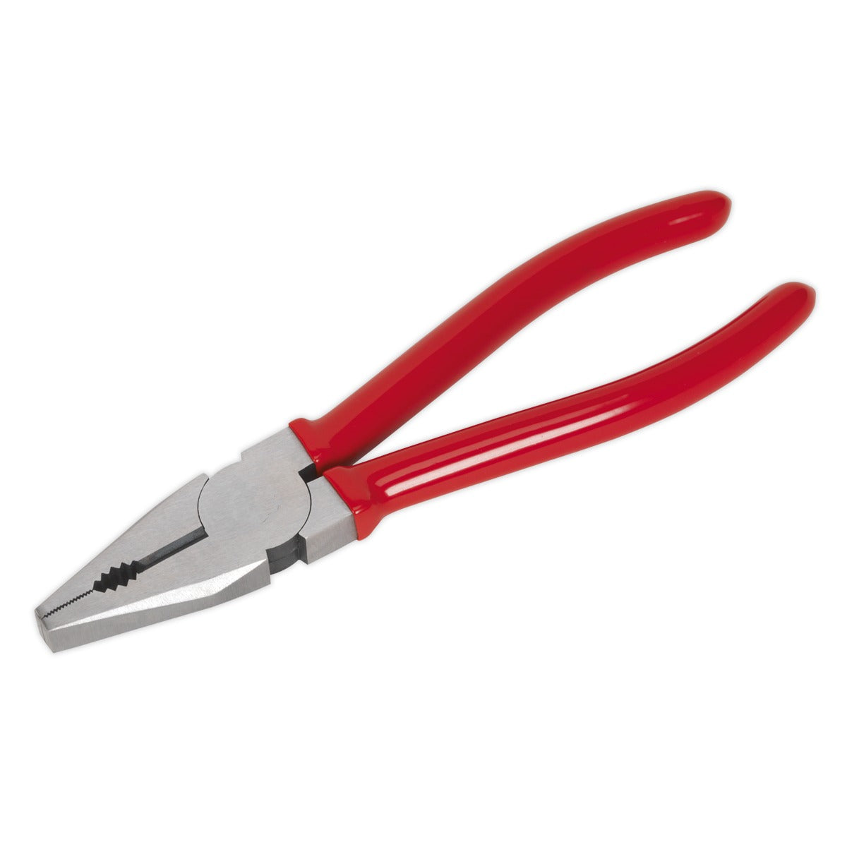 Premier Combination Pliers 200mm AK8561