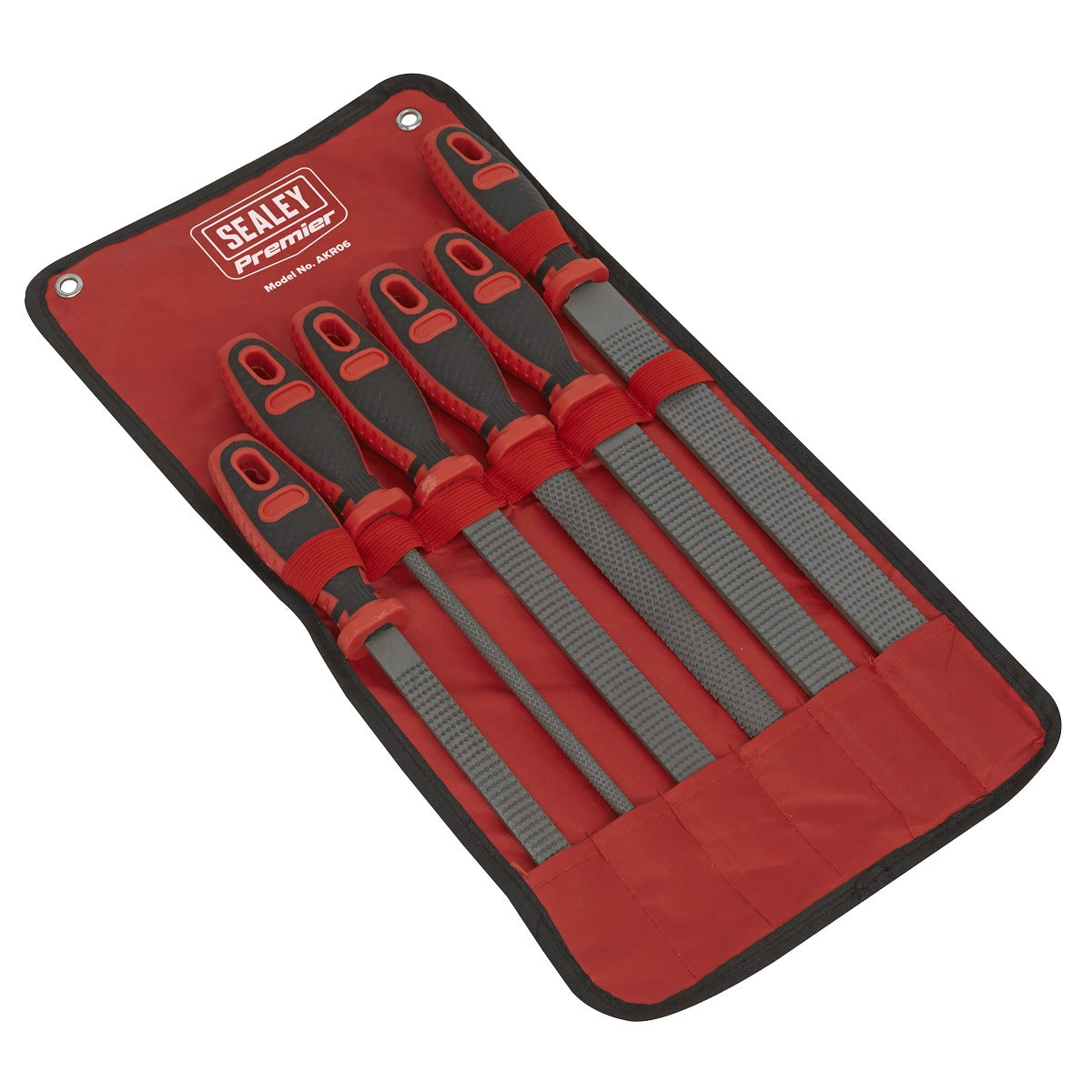 Premier Rasp File Set 6pc AKR06