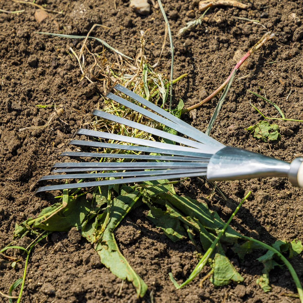 Premier Leaf Hand Rake with Ash Handle & Stainless Steel Tines GTWH001