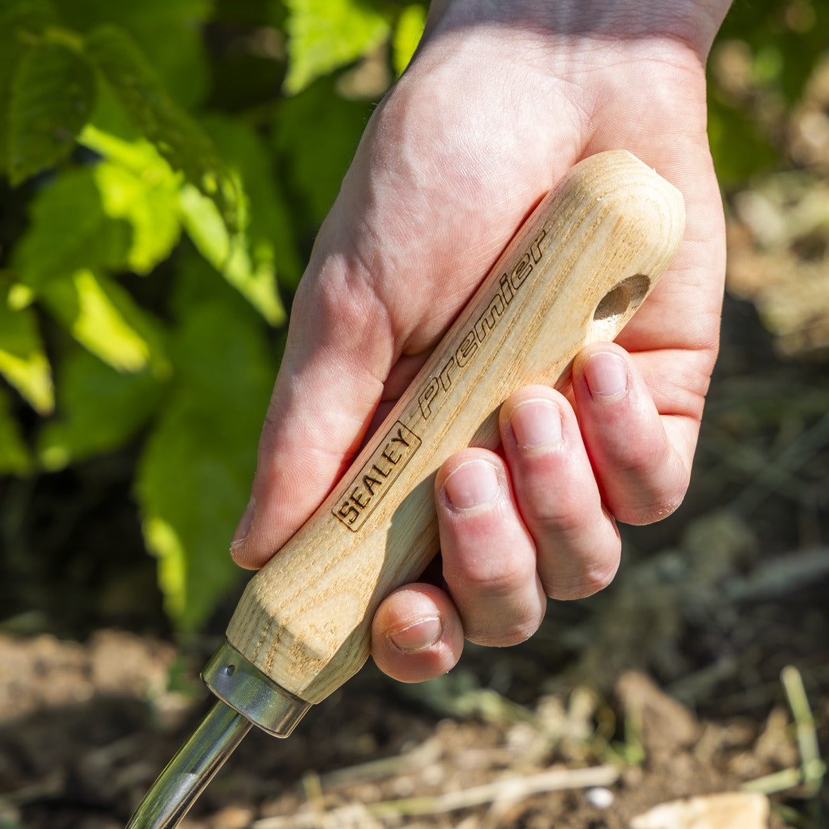 Premier Hand Trowel Hand Trowel with Ash Handle & Stainless Steel Blade GTWH003