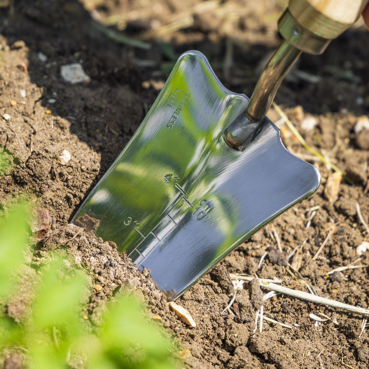 Premier Slim Head Trowel with Ash Handle & Stainless Steel Blade GTWH004
