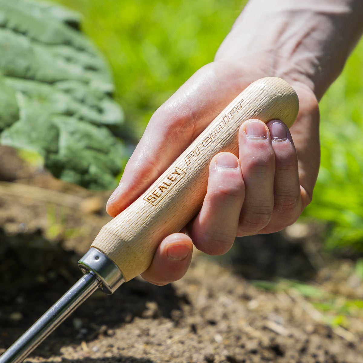Premier Cultivator with Short Ash Handle & Stainless Steel Tines GTWH005