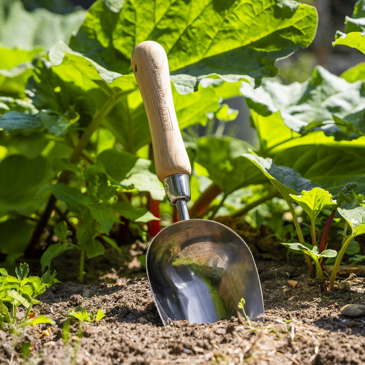 Premier Garden Scoop with Ash Handle & Stainless Steel Head GTWH006
