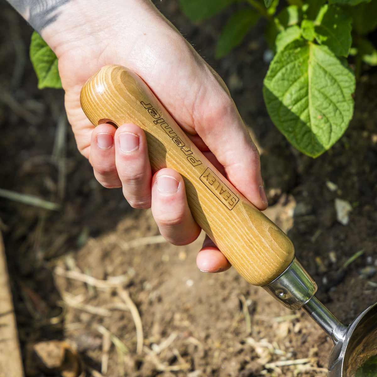 Premier Garden Scoop with Ash Handle & Stainless Steel Head GTWH006