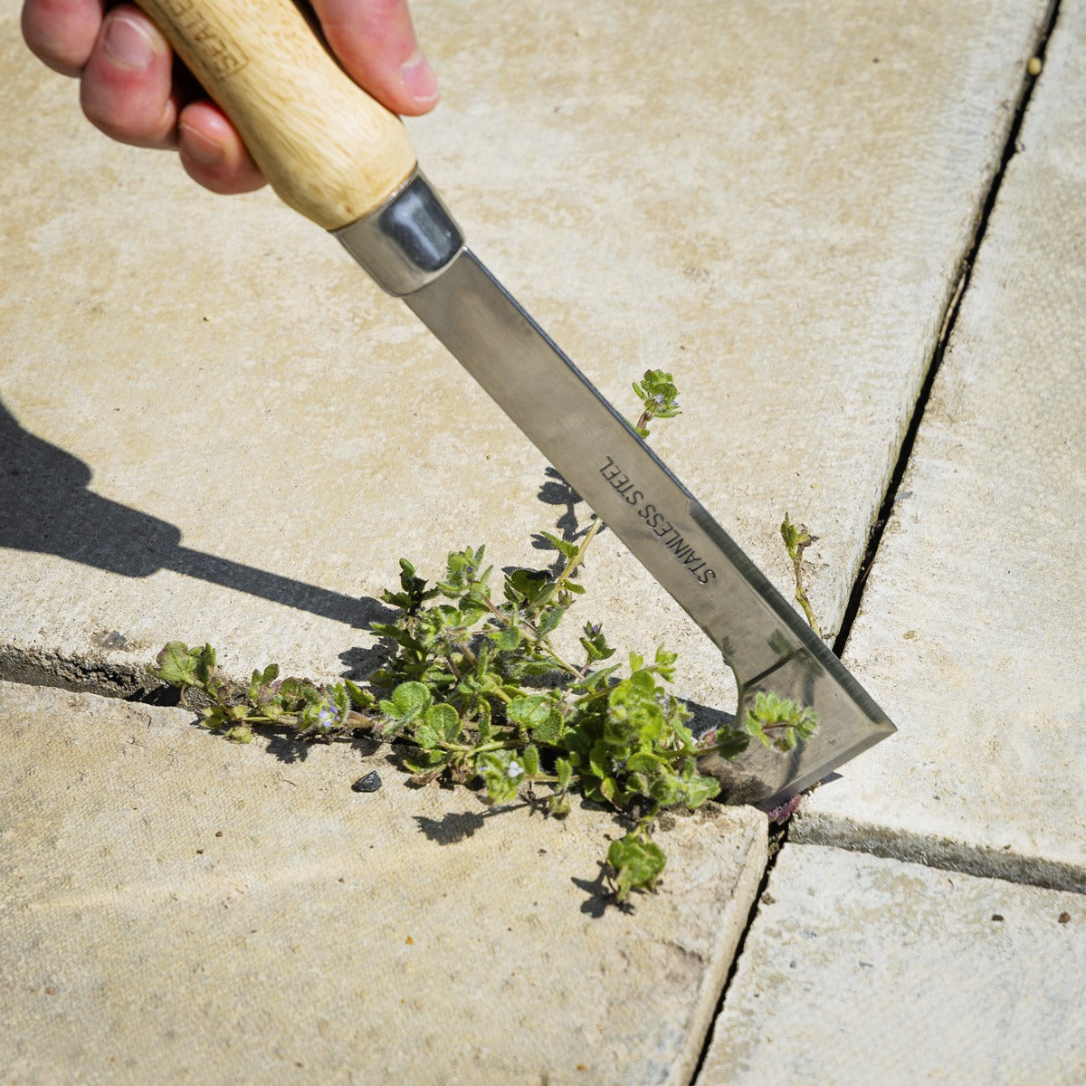 Premier Weeding Knife with Ash Handle & Stainless Steel Blade GTWH009