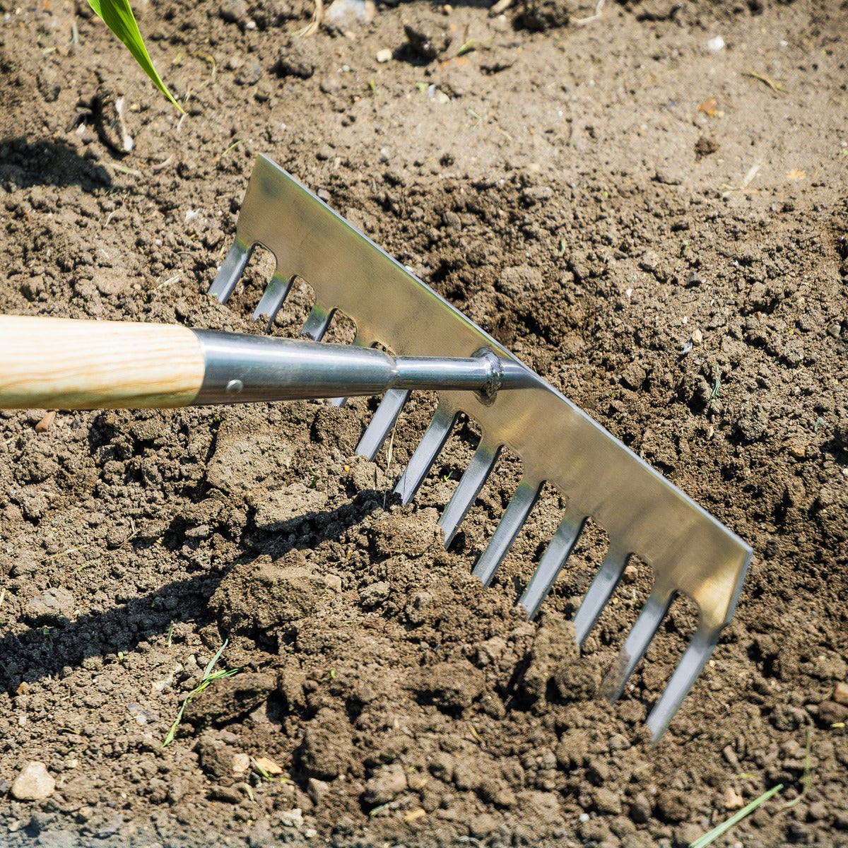 Premier Garden Rake with Long Ash Handle & Stainless Steel Tines GTWH011