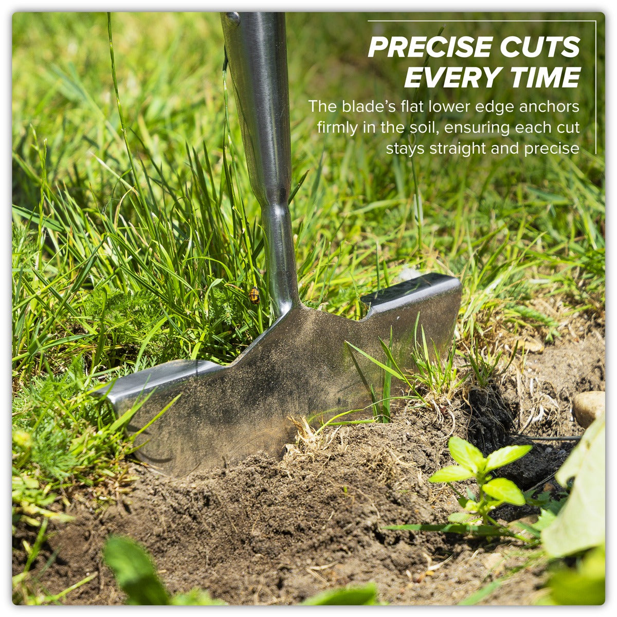 Premier Lawn Edger with Long Ash Handle & Stainless Steel Blade GTWH014