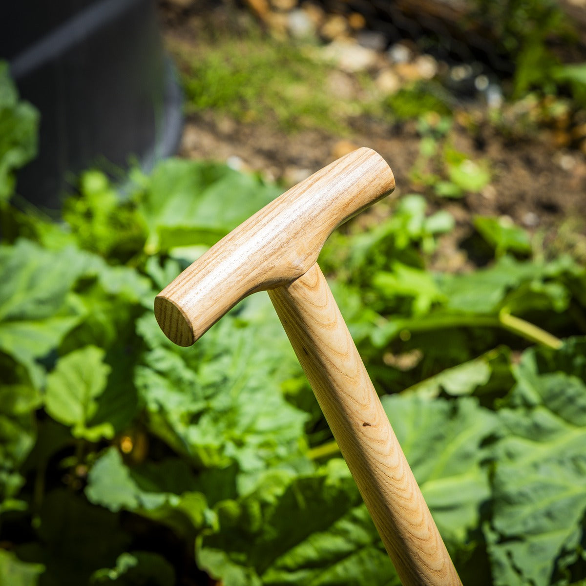 Premier Lawn Edger with Long Ash Handle & Stainless Steel Blade GTWH014