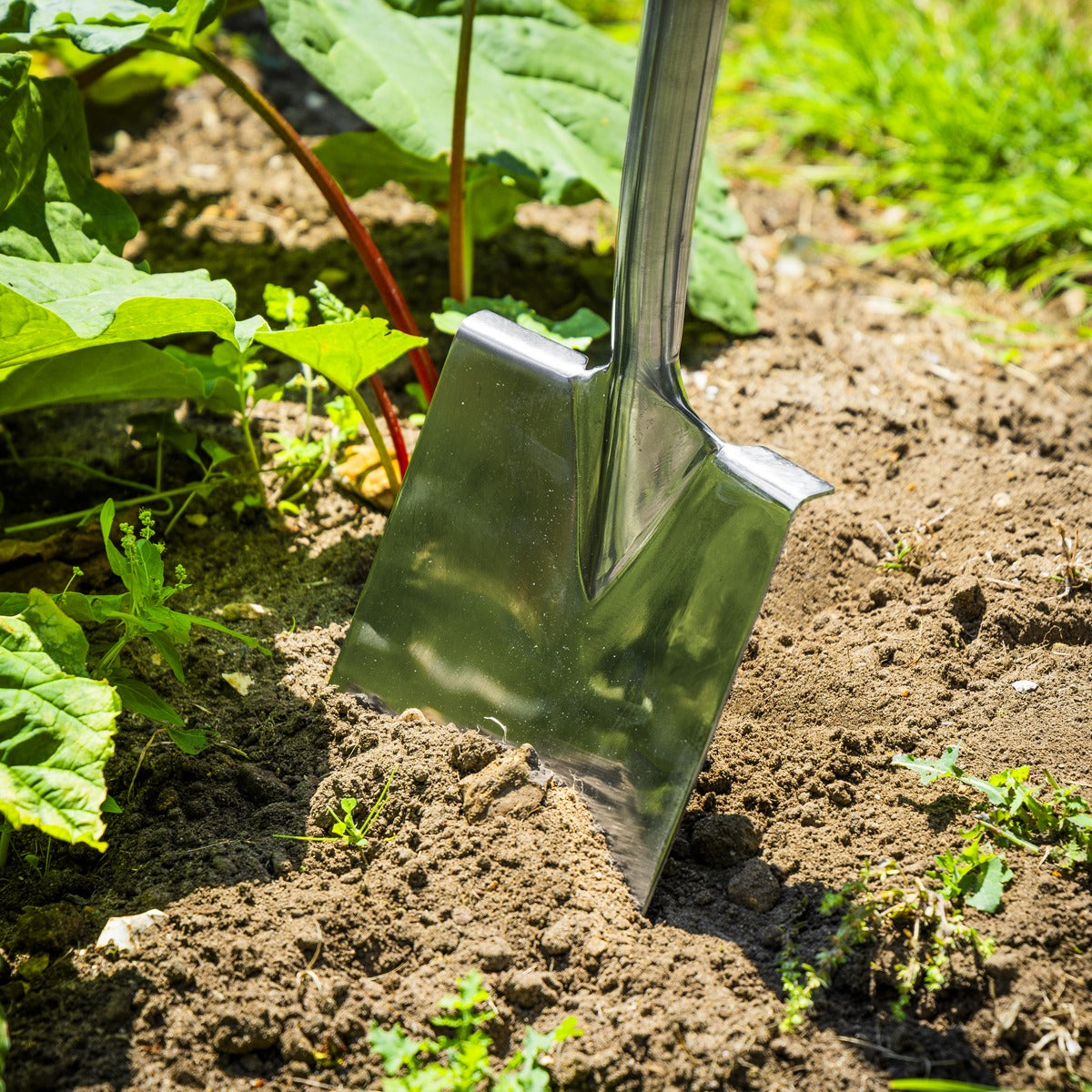 Premier Digging Spade with Ash Y Handle & Stainless Steel Blade GTWH015