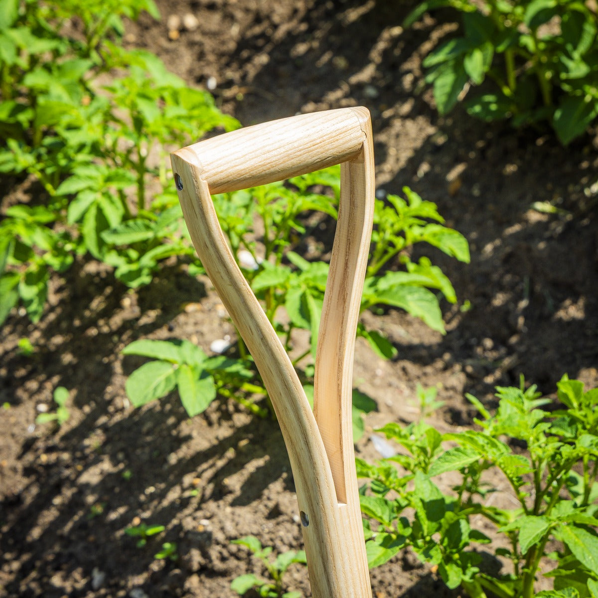 Premier Digging Fork with Ash Handle & Stainless Steel Tines GTWH016