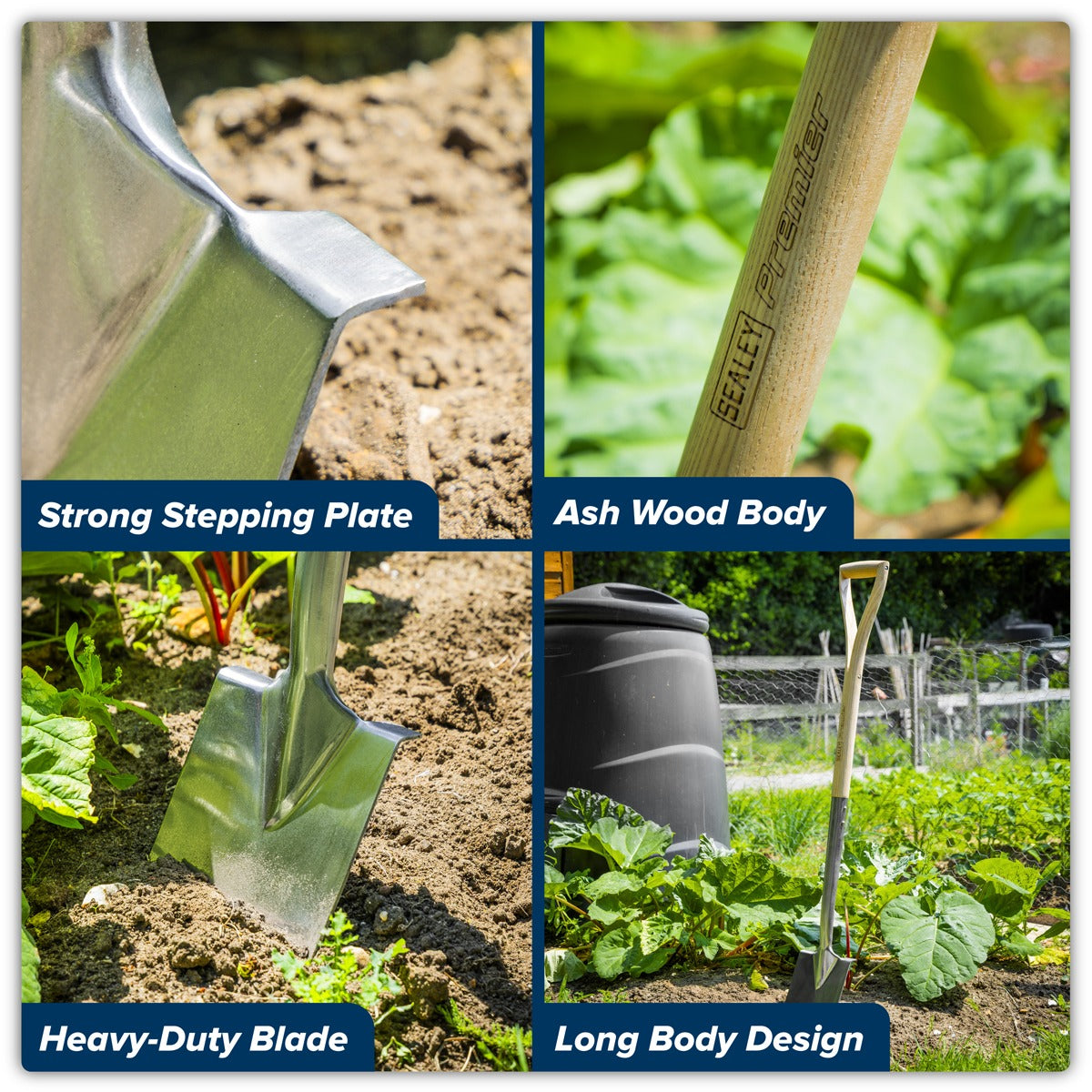 Premier Border Spade with Ash Y Handle & Stainless Steel Blade GTWH017