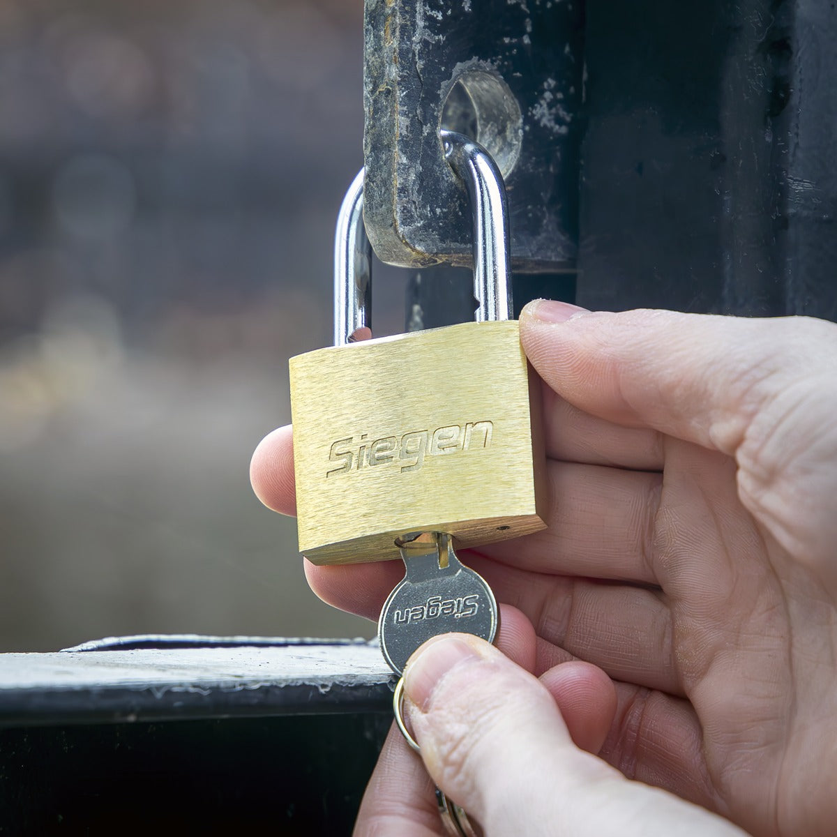Siegen Brass Body Padlock with Brass Cylinder 40mm S0987