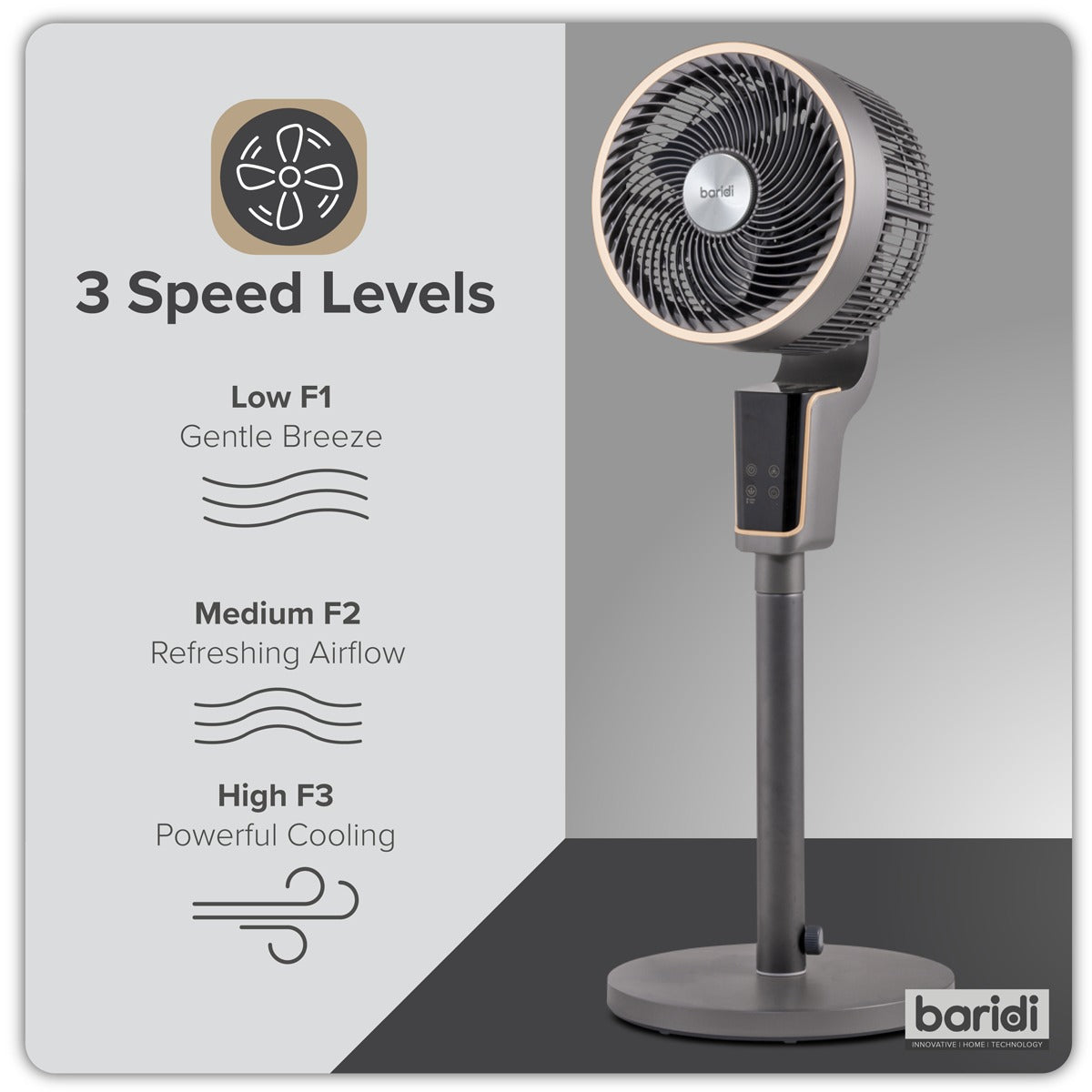 Baridi 12" Pedestal Fan with Remote Control & 12hr Timer 230V - Grey DH141
