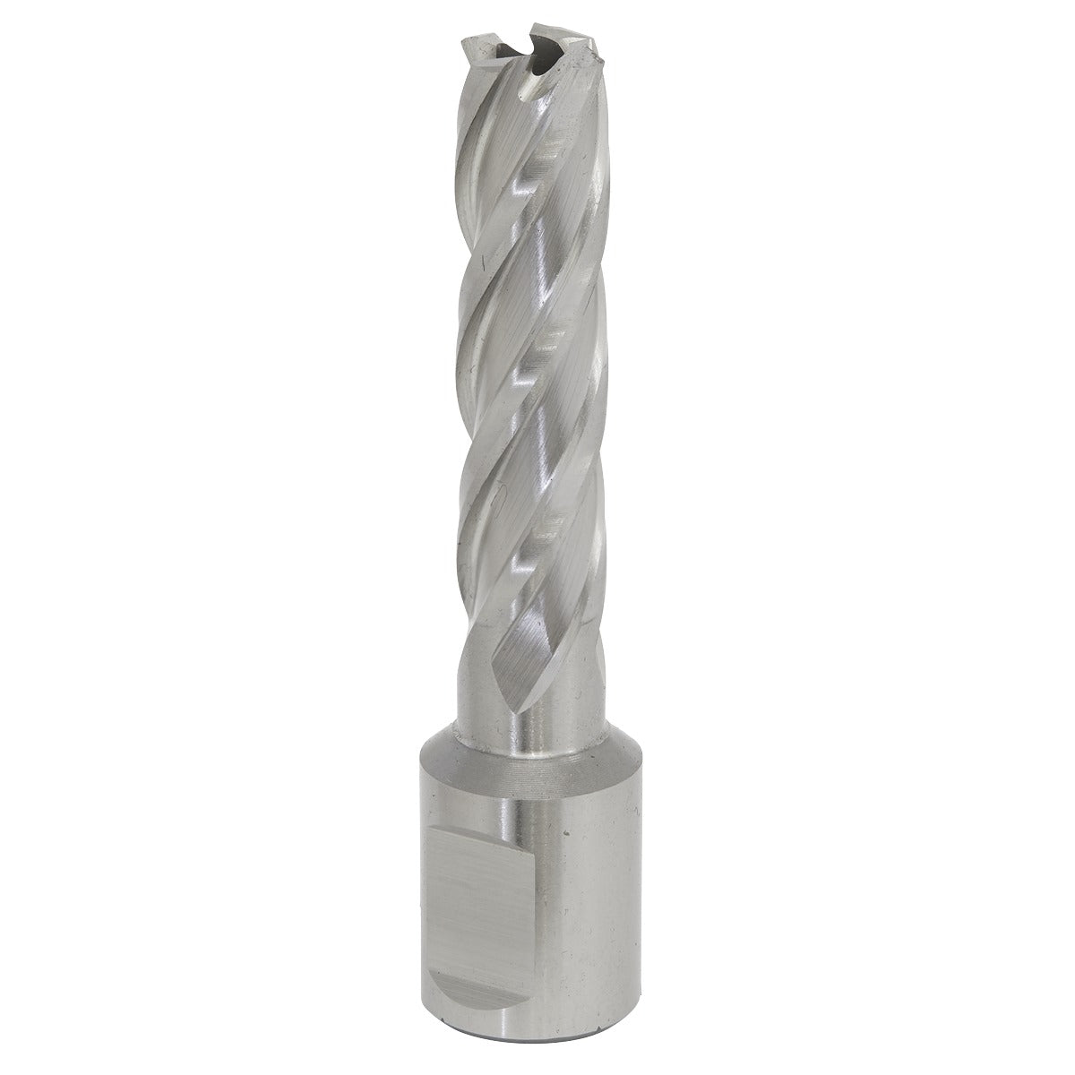 Worksafe 13mm HSS Mag Drill Bit Cut Depth 50mm RBHSS13L