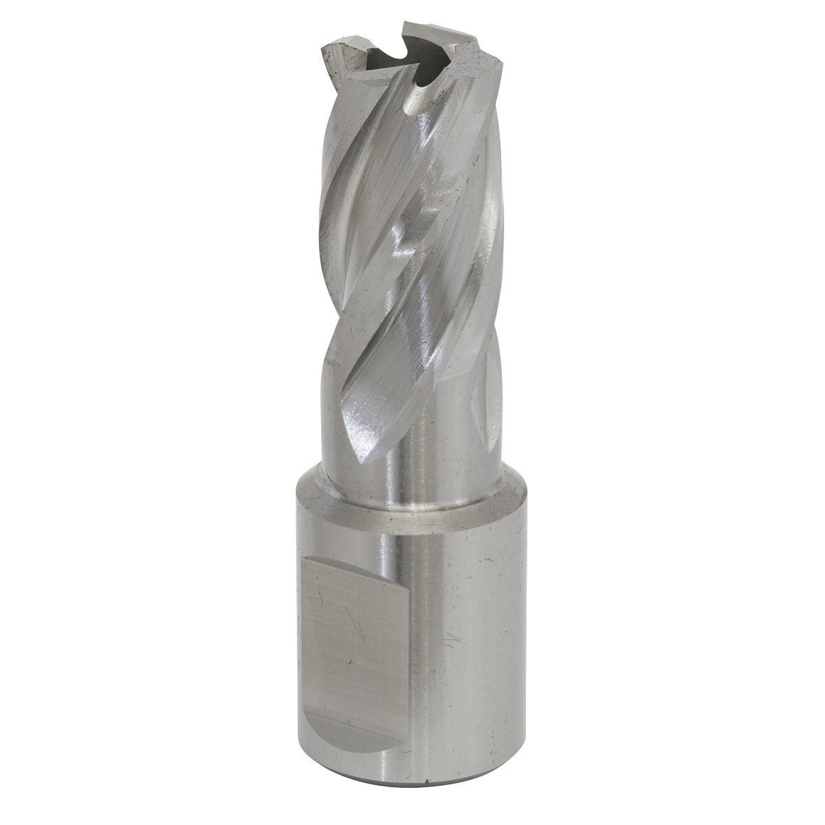 Worksafe 15mm HSS Mag Drill Bit Cut Depth 25mm RBHSS15S