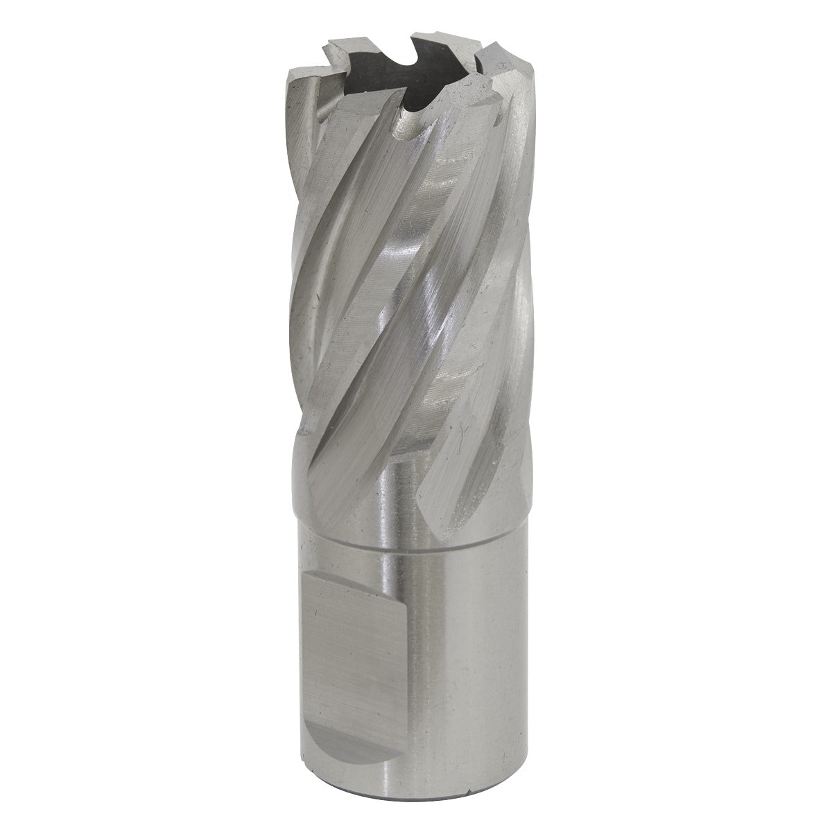 Worksafe 21mm HSS Mag Drill Bit Cut Depth 25mm RBHSS21S