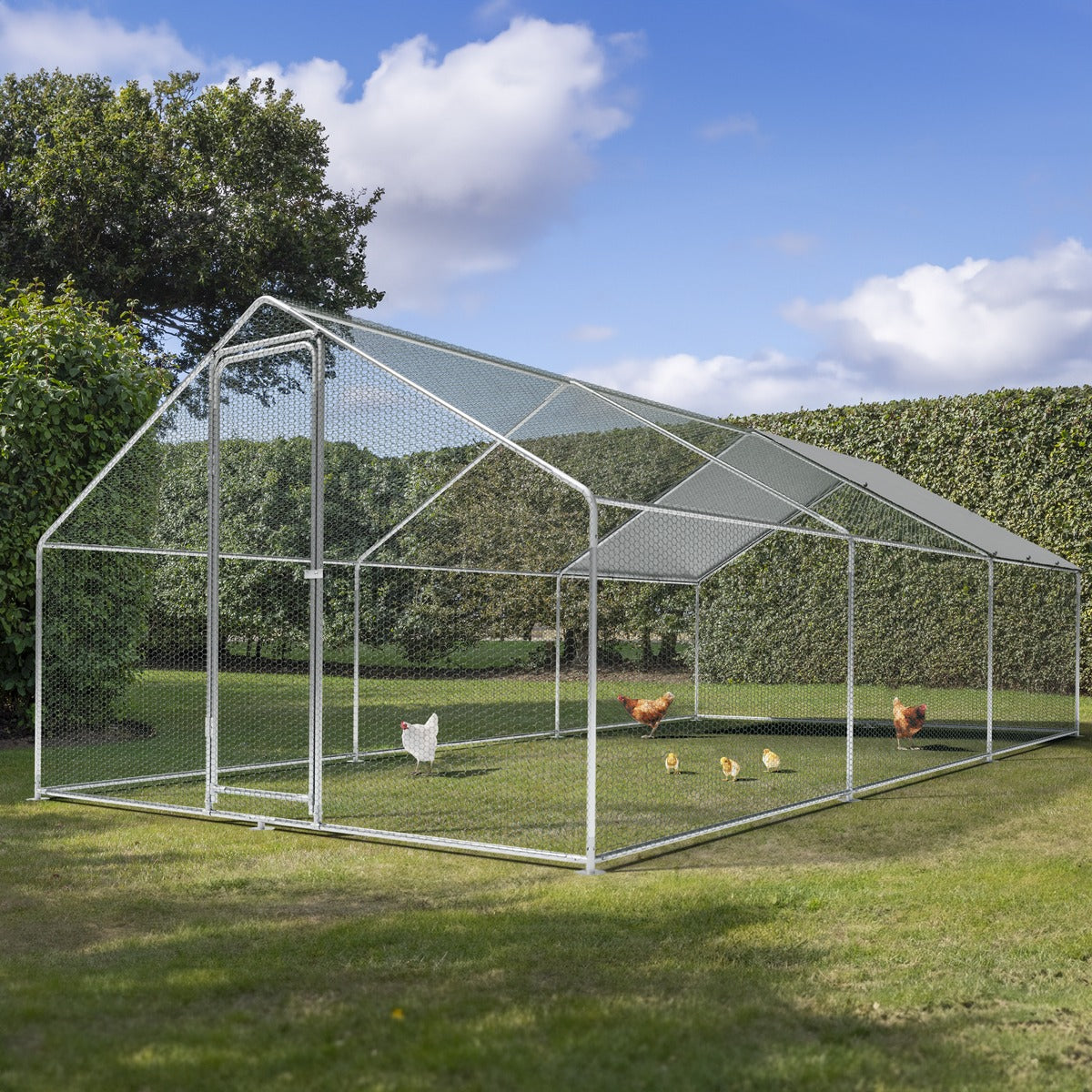 Dellonda Walk-In Galvanized Steel Chicken Run with Roof Cover & PVC Coated Chicken Wire DG280