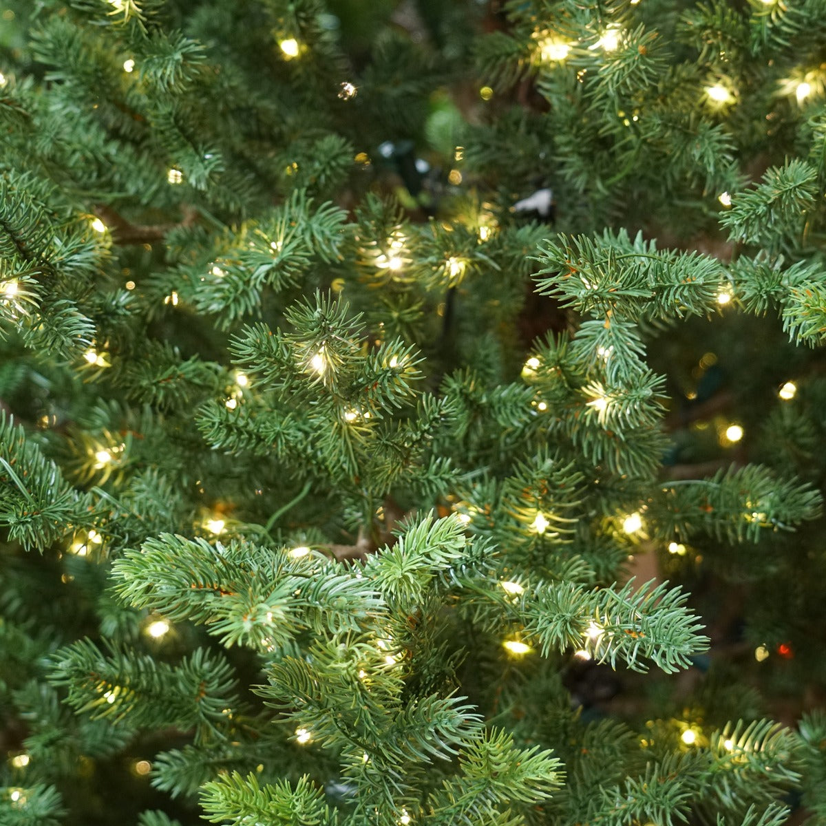 Dellonda Pre-Lit Hinged Christmas Tree with 350 Warm White LED Lights 7ft(210cm) DH82