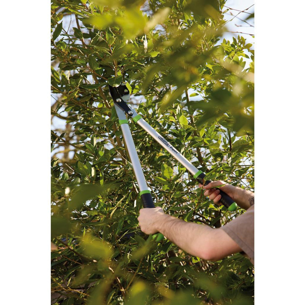 Draper Expert Gear Action Soft Grip Anvil Lopper with Aluminium Handles, 685mm 03312
