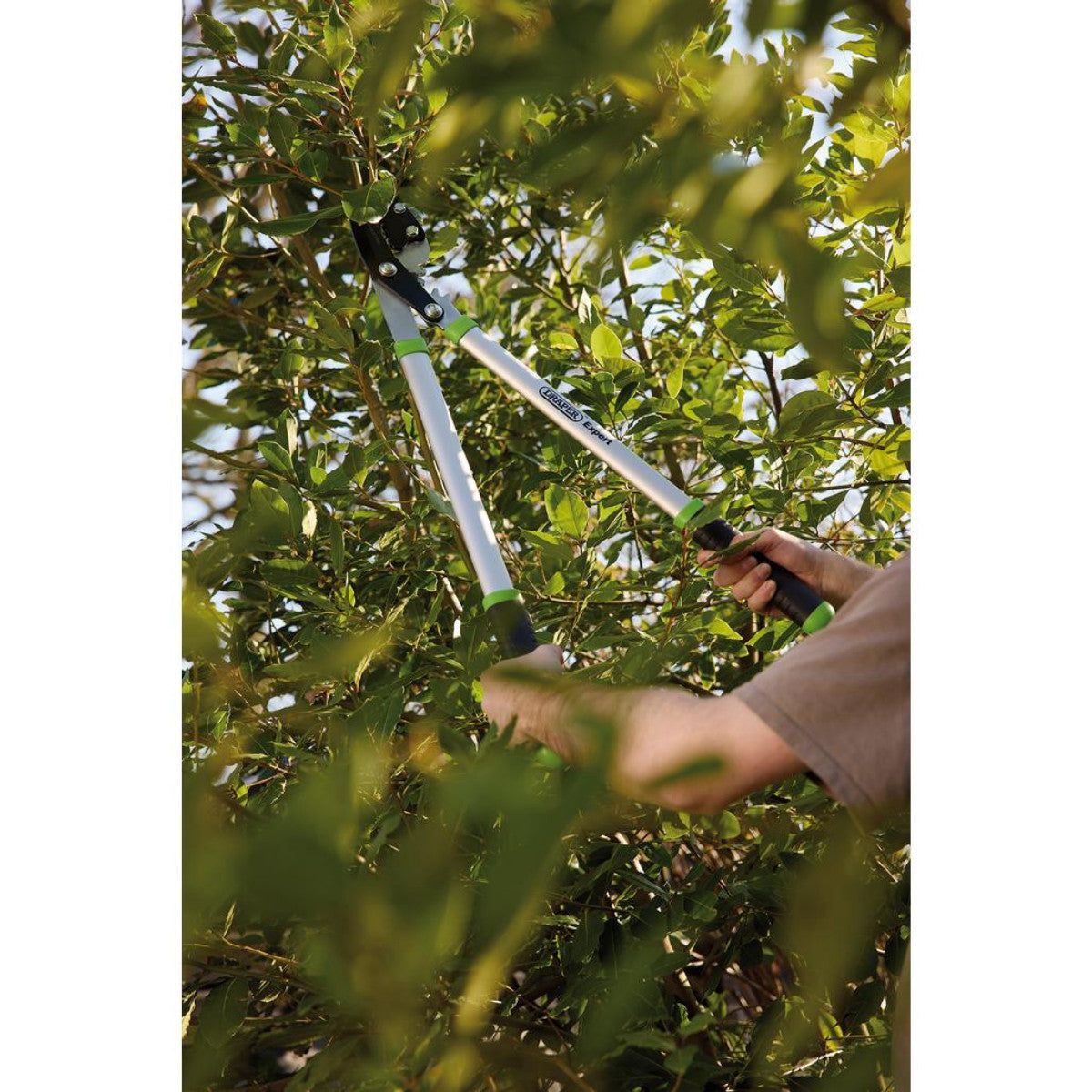 Draper Expert Gear Action Soft Grip Anvil Lopper with Aluminium Handles, 685mm 03312