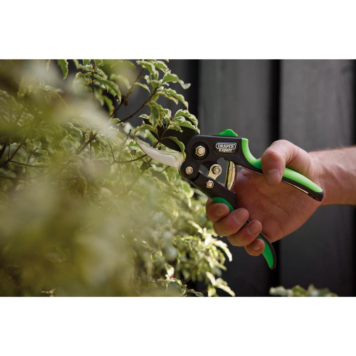 Draper Expert Anvil and Bypass Secateurs Set, 200mm (2 Piece) 08986