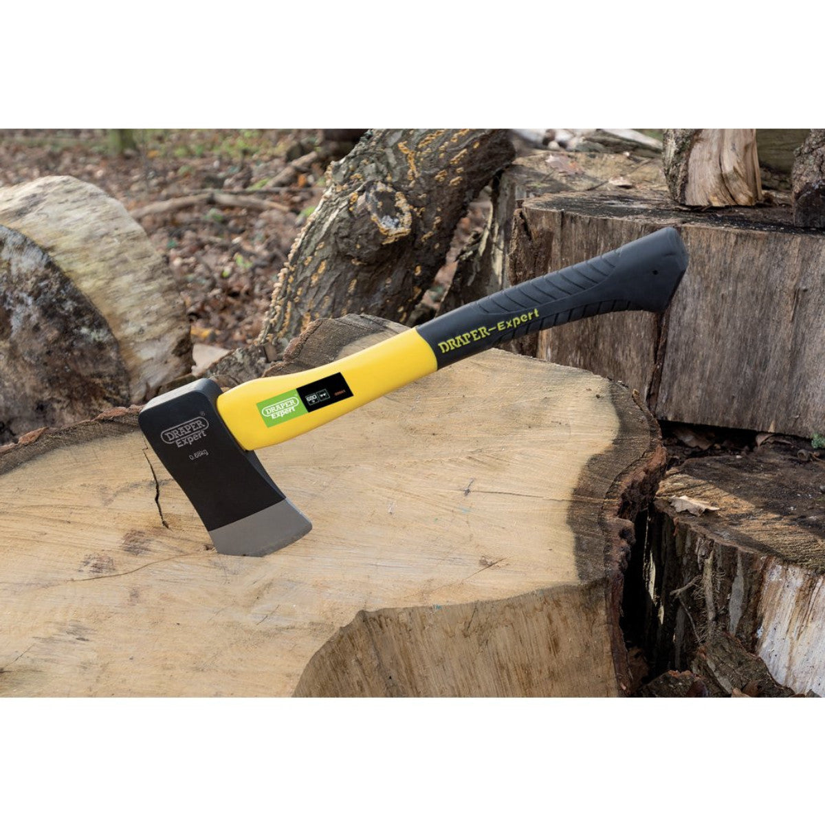 Draper Expert Felling Axe with Fibreglass Shaft, 680g 09941