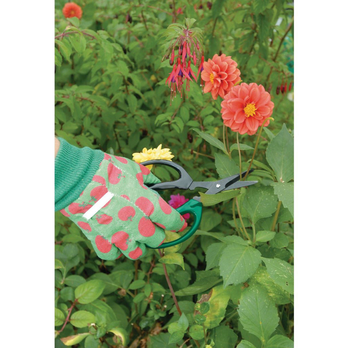 Draper Soft Grip Garden Scissor Set (2 Piece) 18299