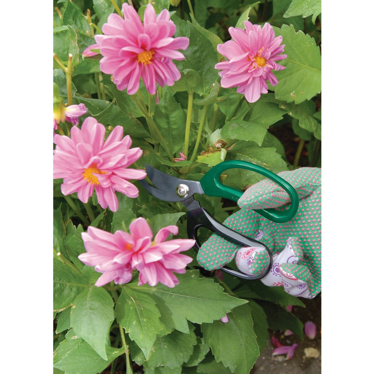 Draper Soft Grip Garden Scissor Set (2 Piece) 18299