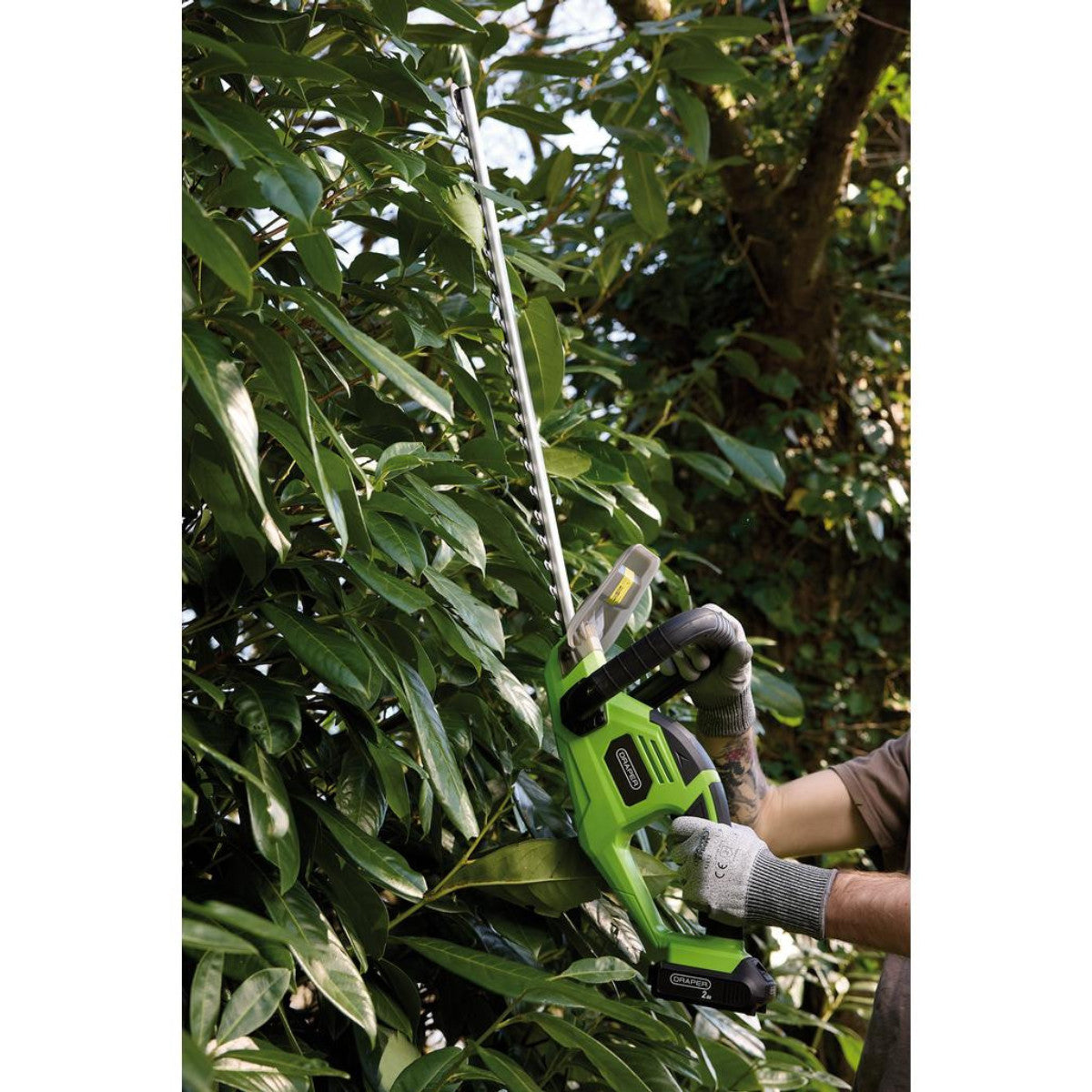 Draper 18V Hedge Trimmer, 1 x 2.0Ah Battery, 1 x Charger 31862