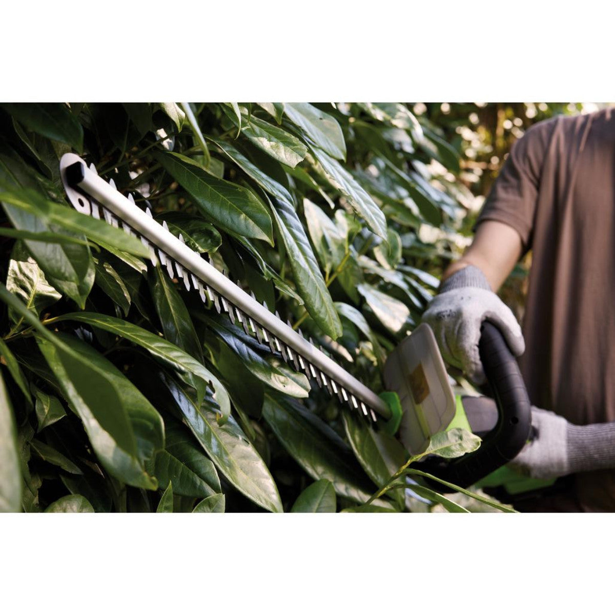Draper 18V Hedge Trimmer, 1 x 2.0Ah Battery, 1 x Charger 31862