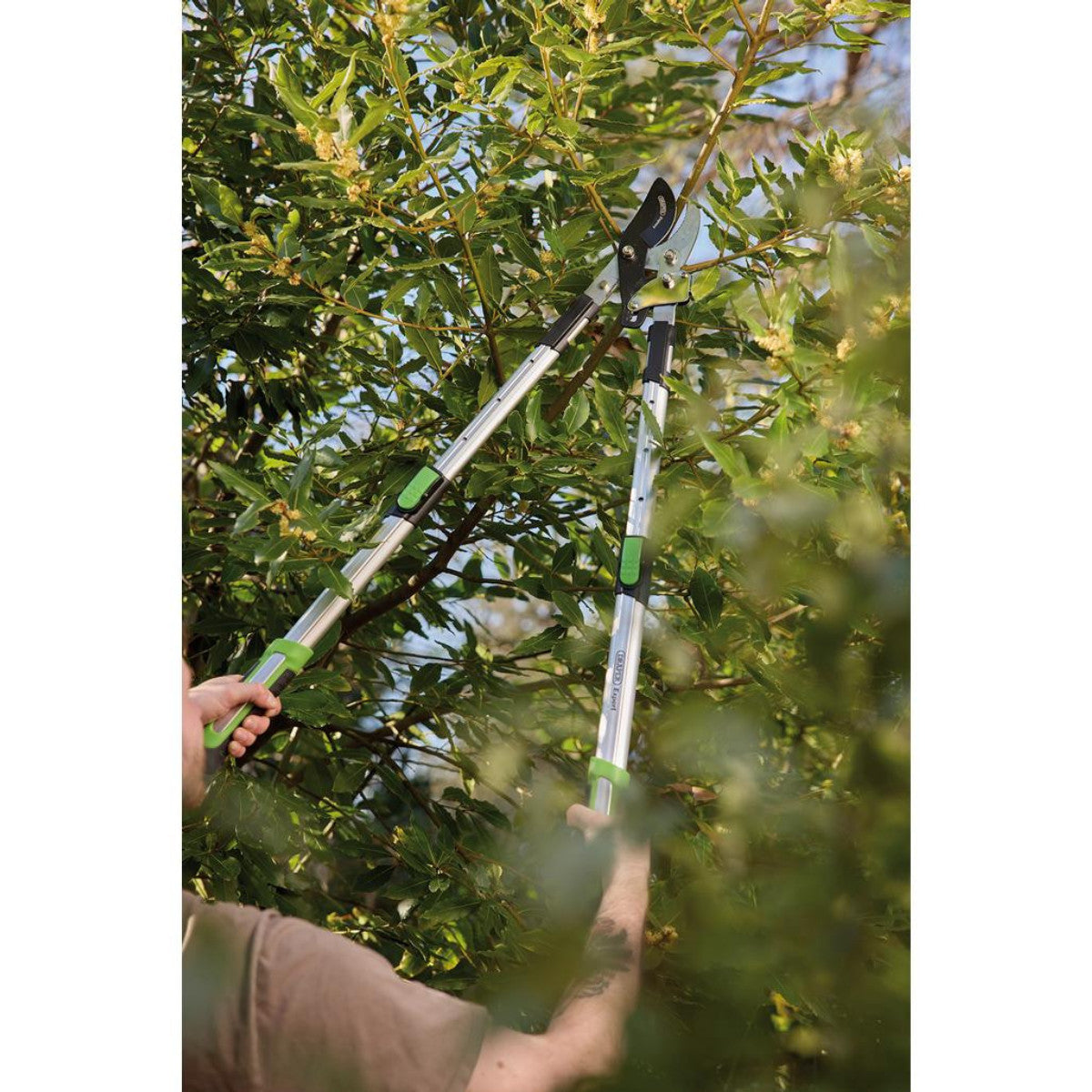 Draper Expert Telescopic Soft Grip Bypass Ratchet Action Loppers with Aluminium Handles 36819