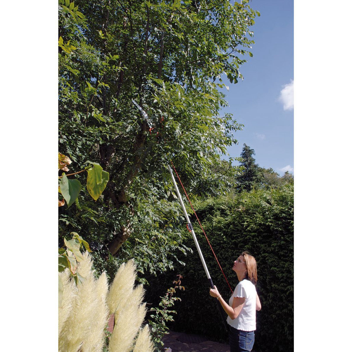 Draper Expert Tree Pruner with Telescopic Handle, 32mm Diameter 45334