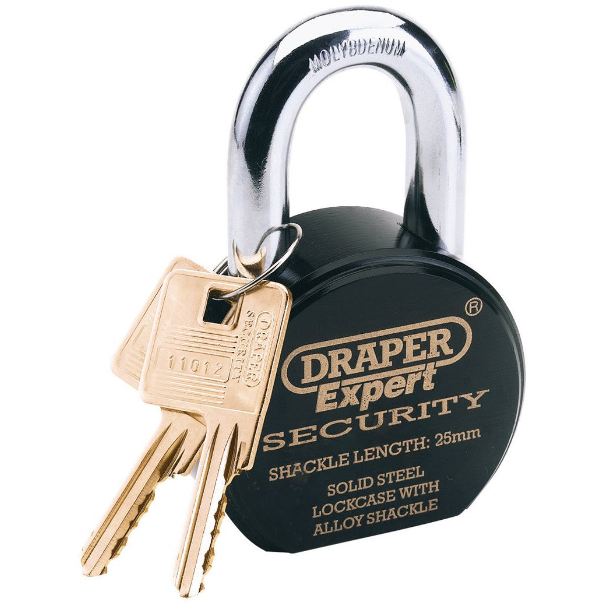 Draper Expert Heavy Duty Stainless Steel Padlock and 2 Keys, 63 x 25mm 64206