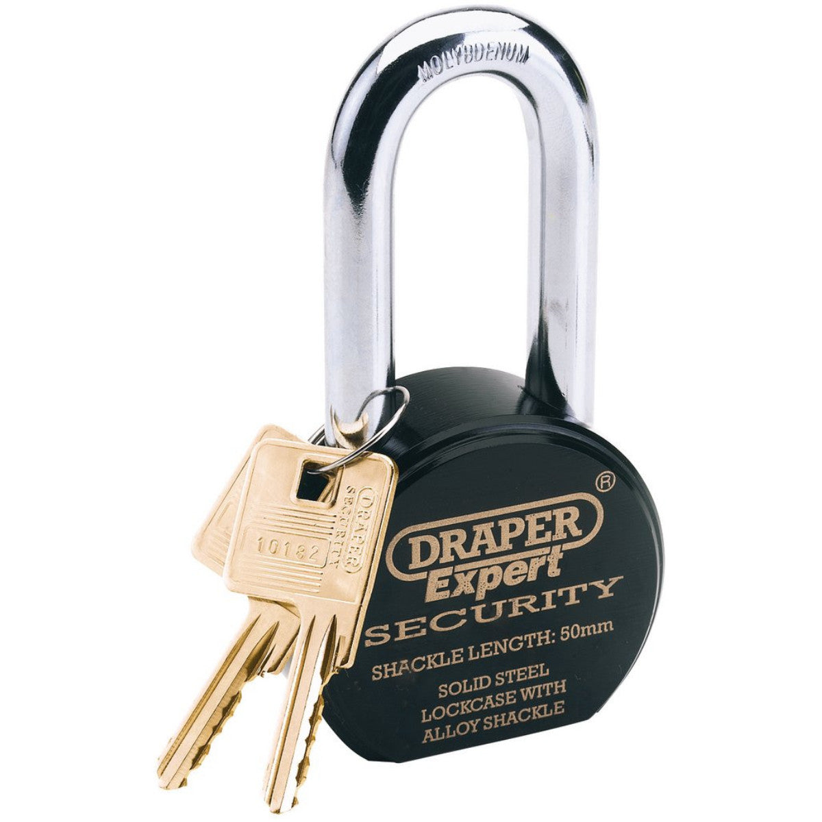 Draper Expert Heavy Duty Stainless Steel Padlock and 2 Keys, 63 x 50mm 64207