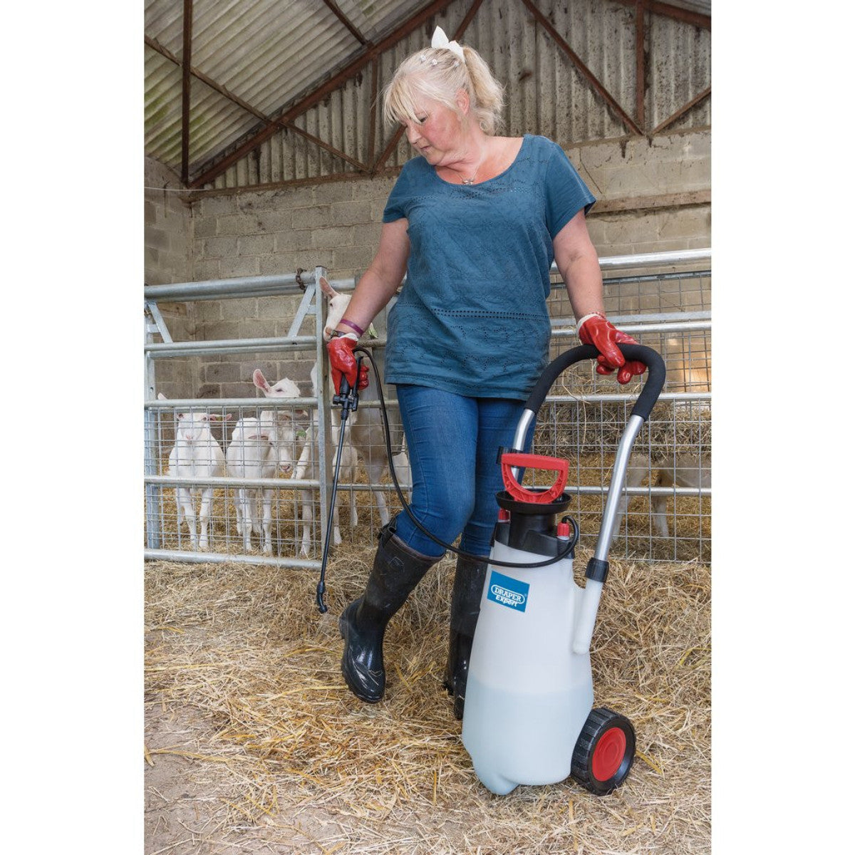 Draper Expert EPDM Trolley Pump Sprayer, 15L 82583