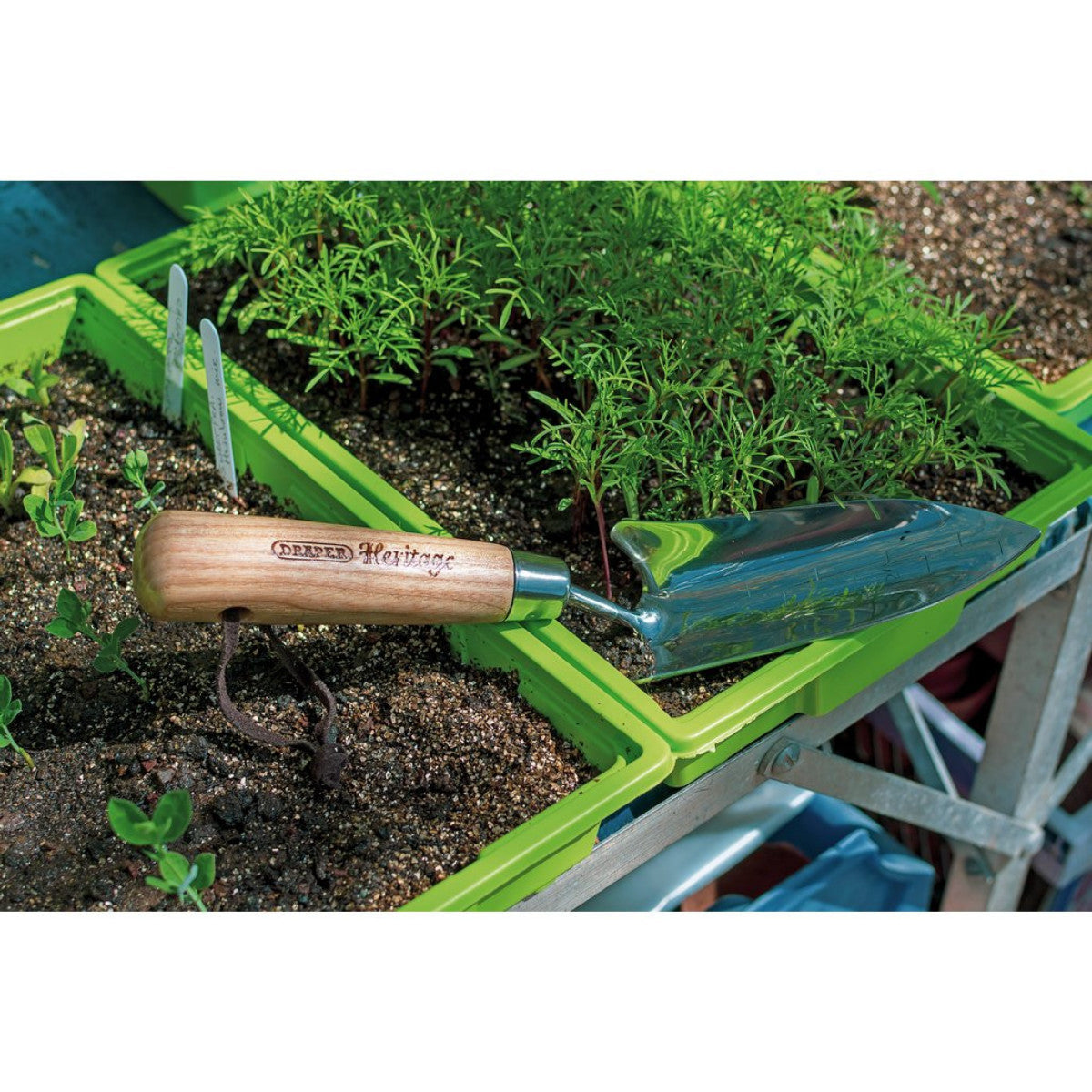 Draper Heritage Stainless Steel Transplanting Trowel with Ash Handle 99022