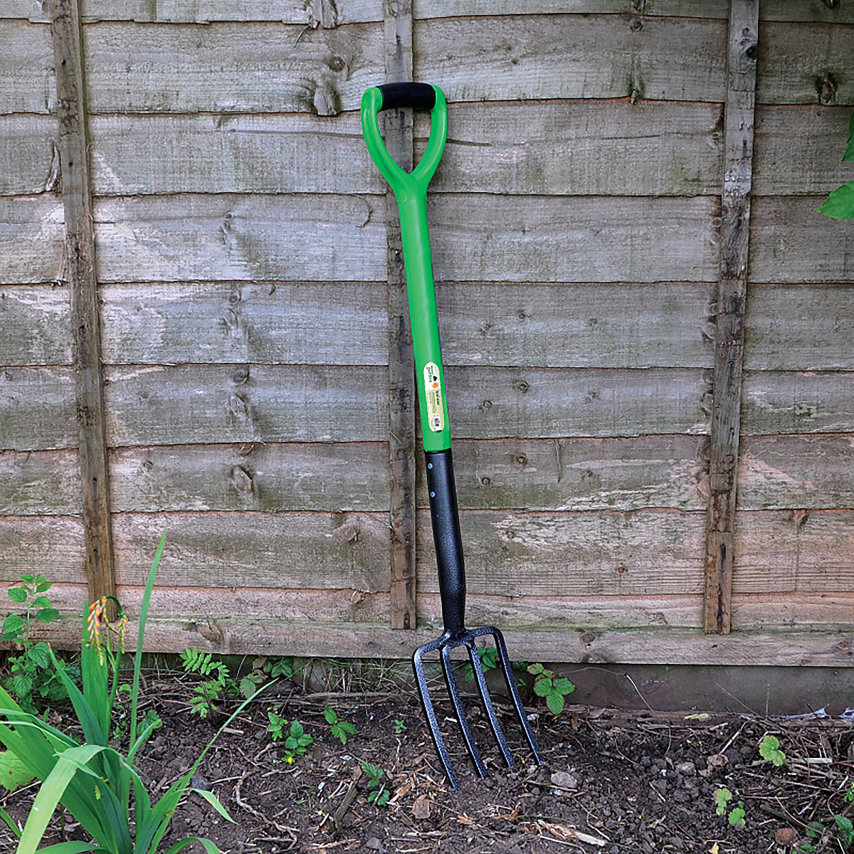 Kingfisher Border Fork CS560