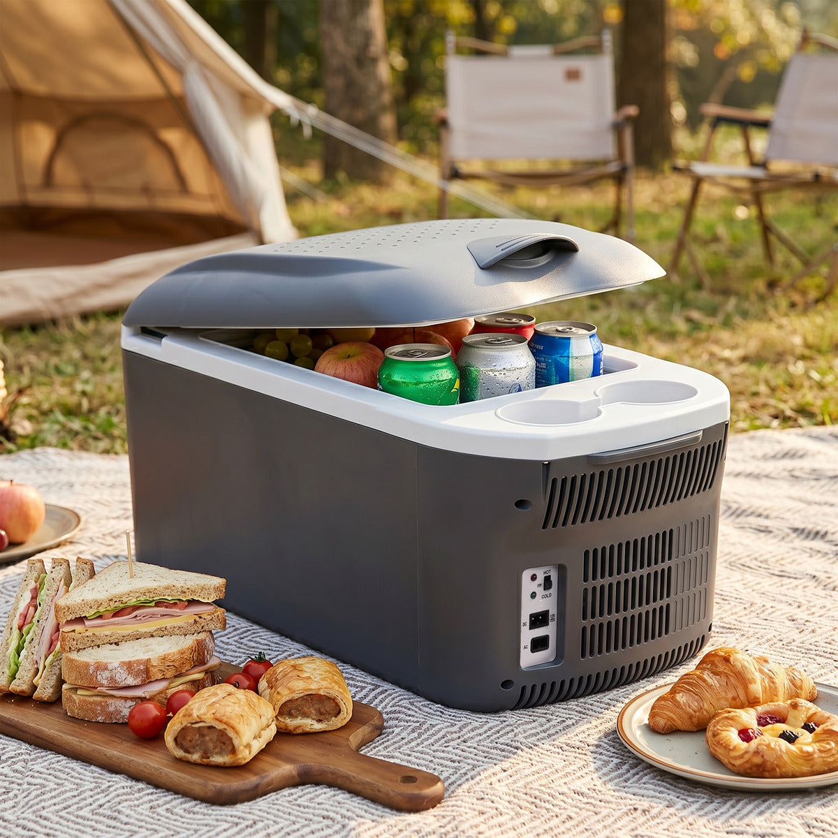 Dellonda 16L Portable Cool Box 12V/230V DL167