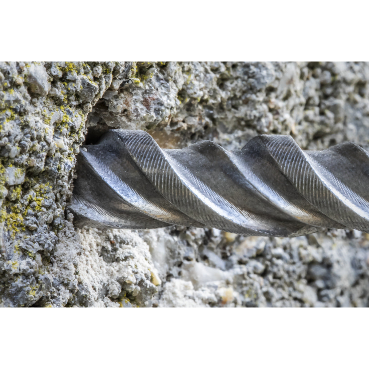 Worksafe SDS Plus Drill Bit 8 x 310mm SDS8X310