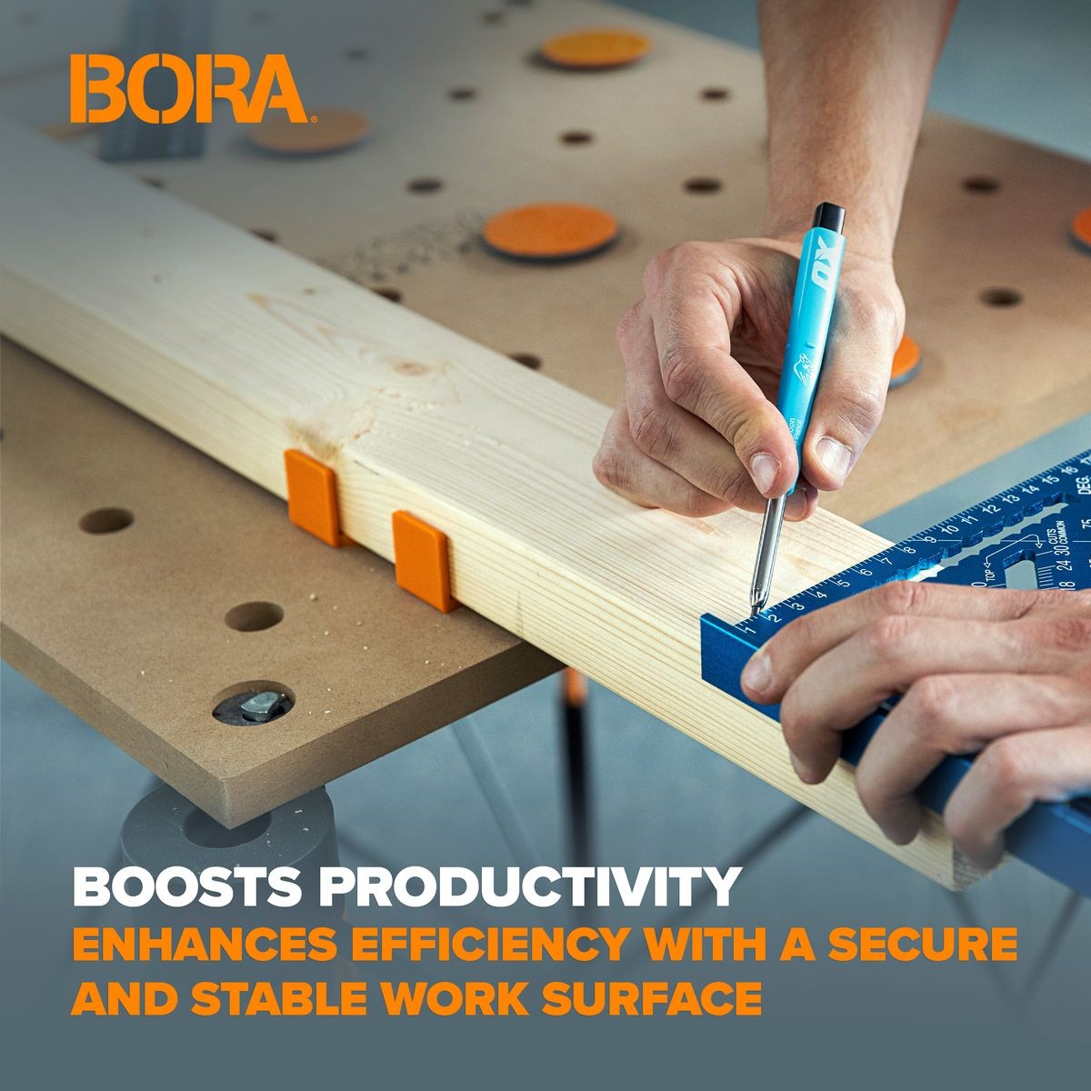 BORA Centipede 2 PC X-Cups Set CA0202