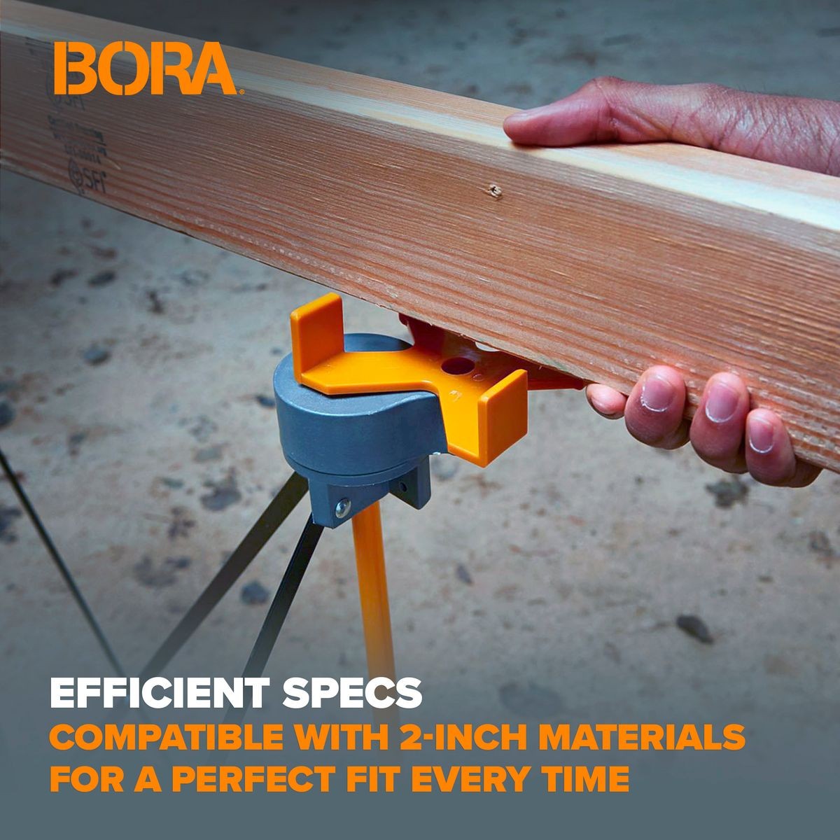 BORA Centipede 2 PC X-Cups Set CA0202