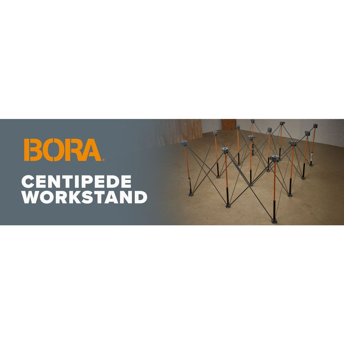 BORA Tall Centipede 2ft x 4ft x 36in Unit, Carry Strap CT6