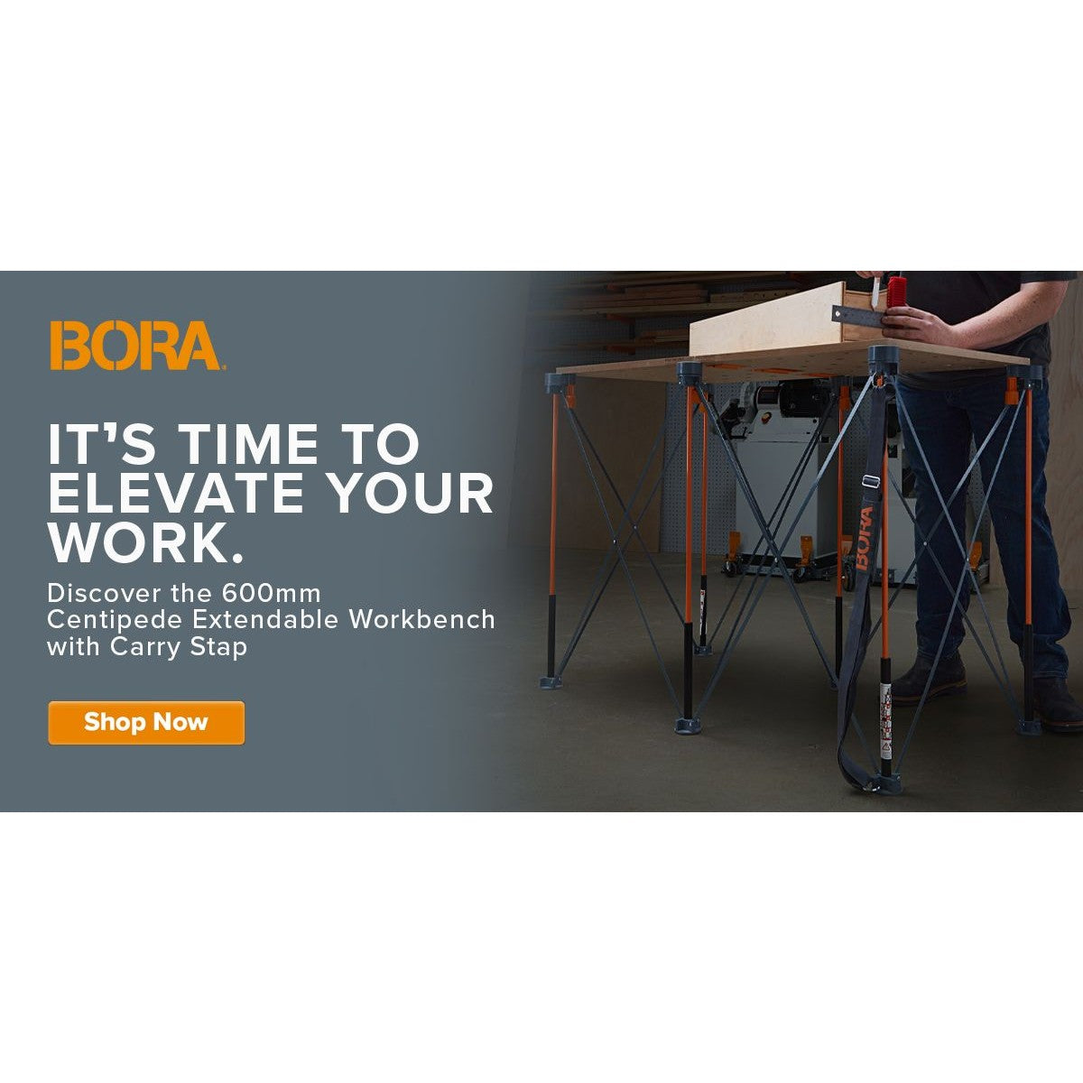BORA Tall Centipede 2ft x 4ft x 36in Unit, Carry Strap CT6